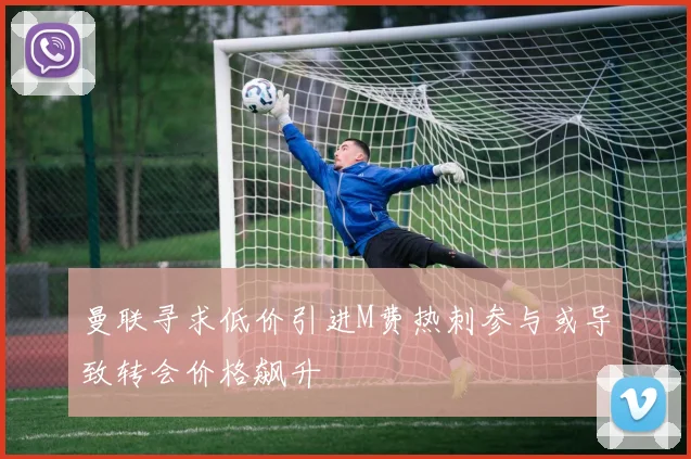曼联寻求低价引进M费热刺参与或导致转会价格飙升